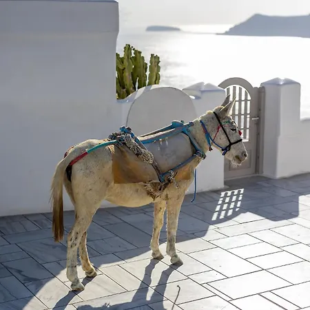 빌라 Santorini Sun 이아