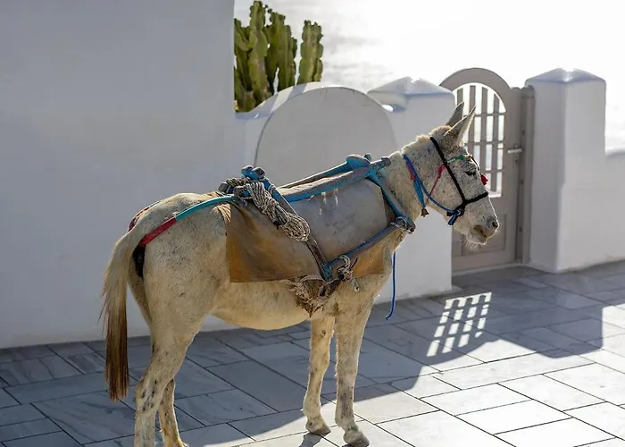 Villa Santorini Sun Oia